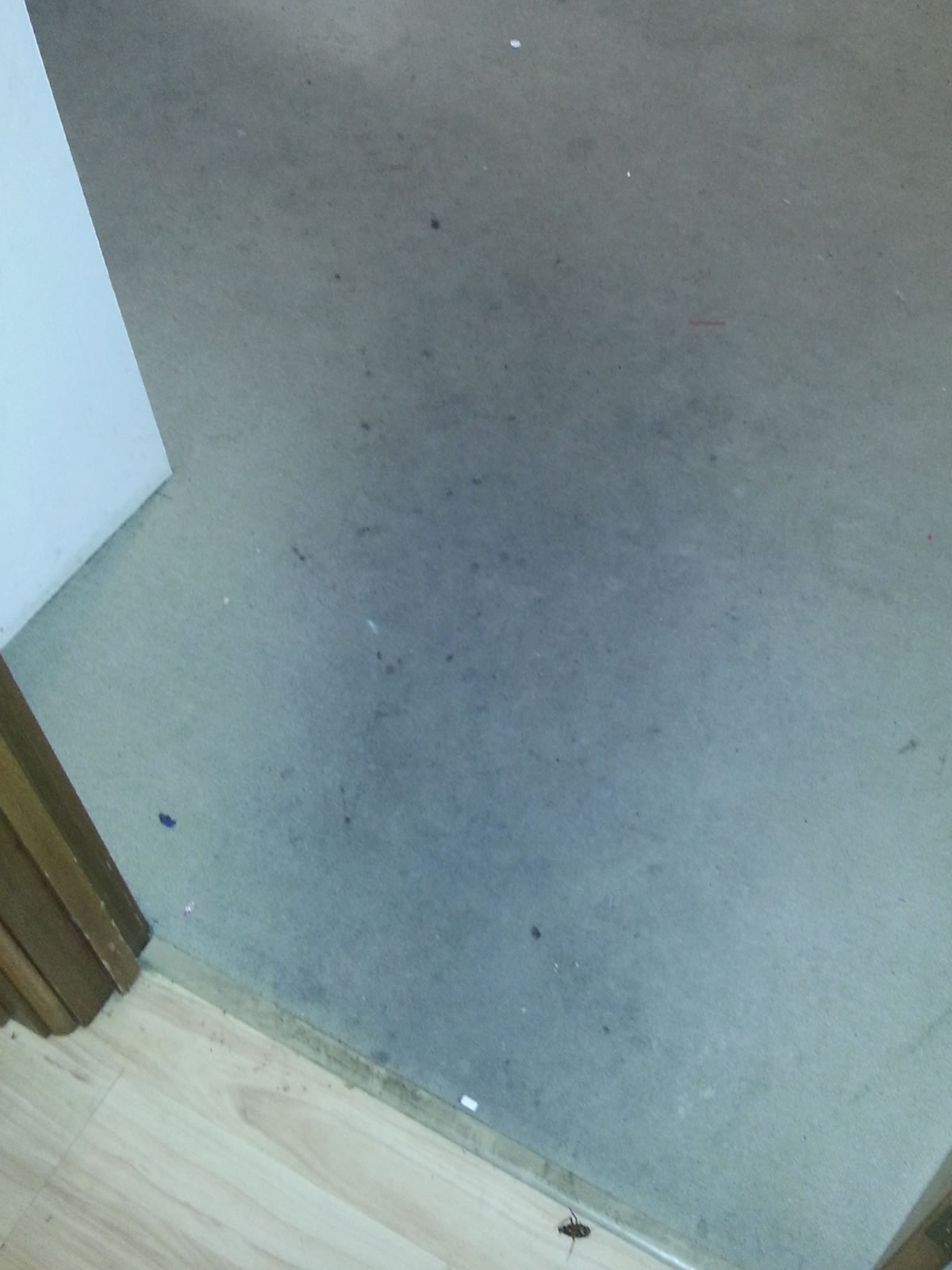 Before Photo